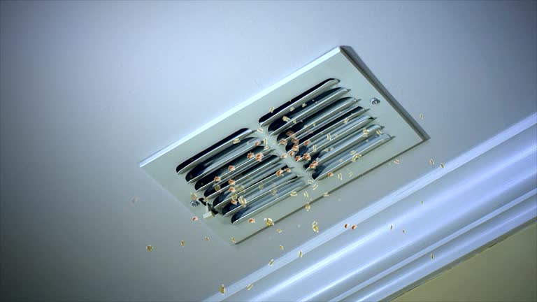 Best Home Air Vent Cleaning  in Wilmington Island, GA