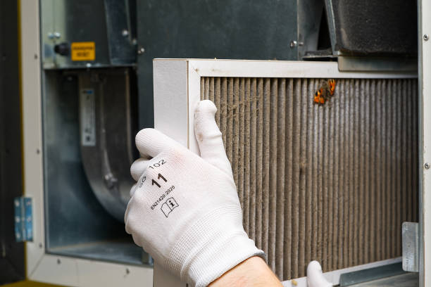 Best Local Air Duct Cleaning Services  in Wilmington Island, GA