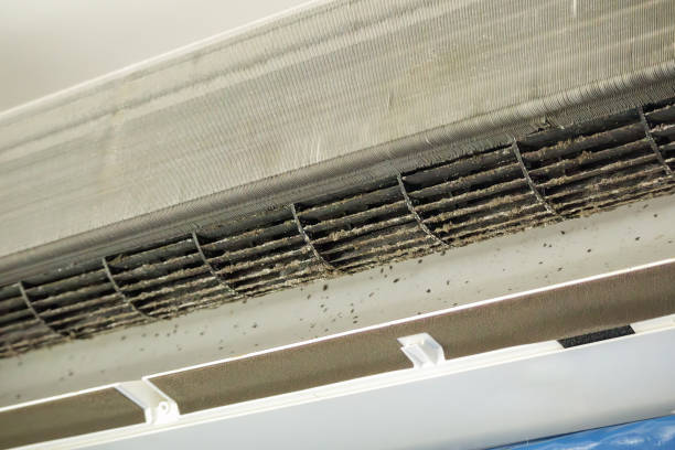 Best HVAC Air Duct Cleaning  in Wilmington Island, GA