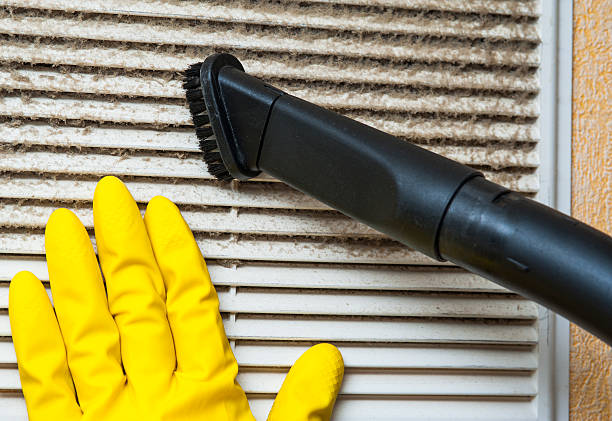 Best Dryer Vent Cleaning Services  in Wilmington Island, GA